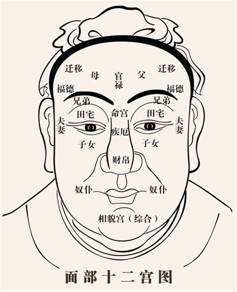 虎鼻面相|虎鼻面相人图讲解